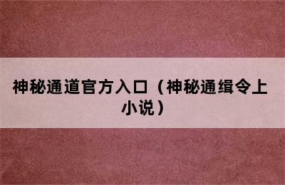 神秘通道官方入口（神秘通缉令上 小说）